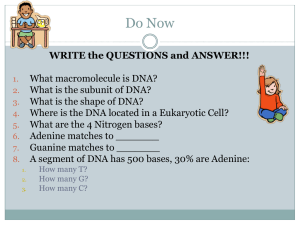 DNA Replication - GreenHouse biology 2014