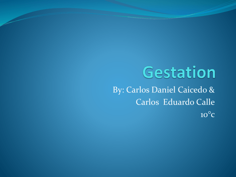 What Is Gestation Period Class 10