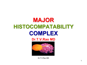Major Histocompatibility Antigens