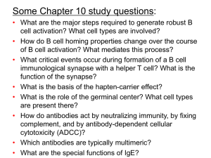 Lecture 13 B cell activation and humoral immunity
