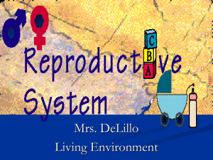 human reproduction notes - Hicksville Public Schools / Homepage
