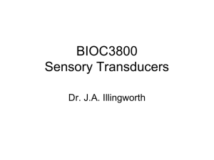 BIOC3800 Sensory Transducers - Faculty of Biological Sciences