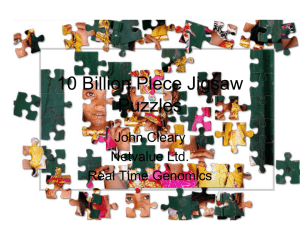 10 Billion Piece Jigsaw Puzzles