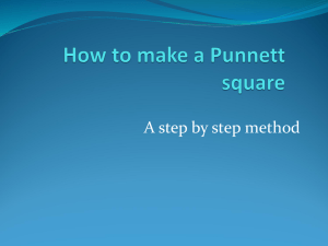 How to make a punnett square