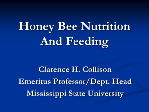 Honey Bee Nutrition and Feeding Bees