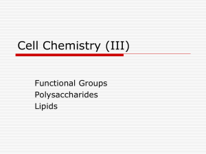 Cell Chemistry (IV)