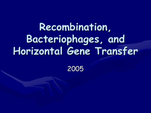 Recombination, Bacteriophages, and Horizontal Gene Transfer