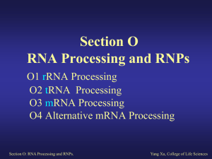 Section O: RNA Processing and RNPs