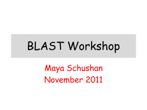 How does BLAST work?
