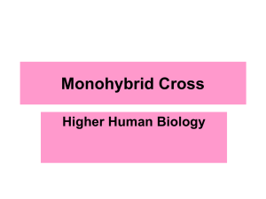 Chapter-11-Monohybrid-Cross