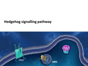The Hedgehog signalling pathway