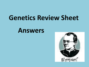 Genetics Review Sheet Answers