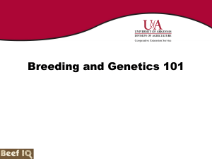 2. Breeding and Genetics 101
