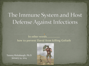 Innate Immune system