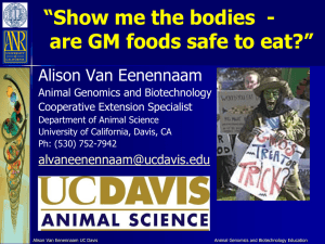 Show Me the Bodies…Are GM Foods Safe to Eat