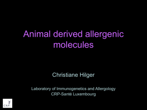 Animal derived allergenic molecules
