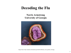 Decoding the Flu - National Center for Case Study Teaching in