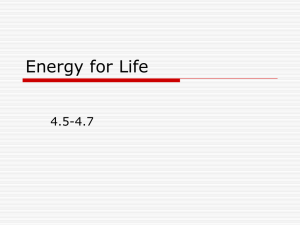 Energy for Life