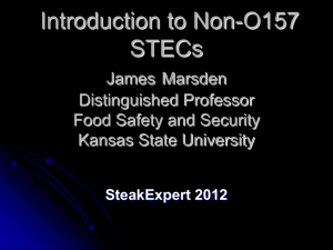 E. coli - Steak expert