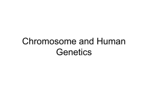 Chromosome and Human Genetics