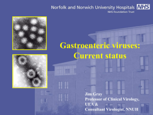 Gastronomic Viruses – current status