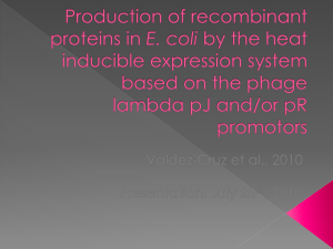 Heat induced expression system ppt