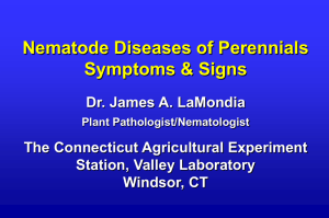 Signs and Symptoms of Damage on Perennials Slides