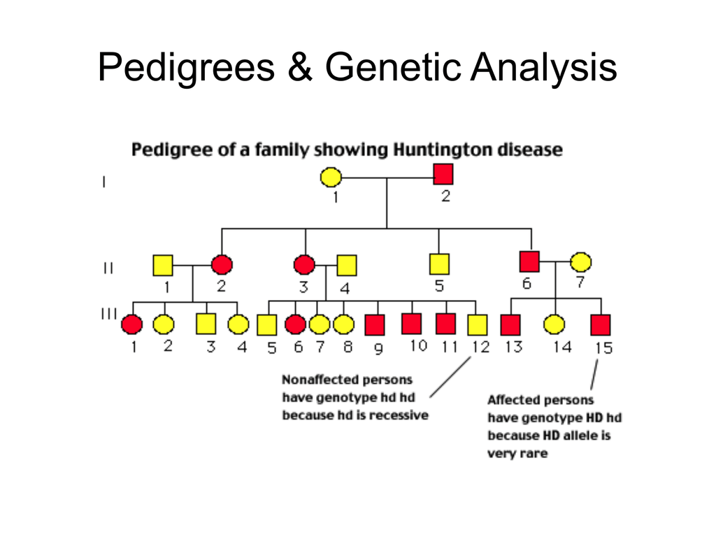In Pedigree Charts Autosomal Recessive Disorders Typically