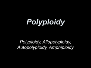 Polyploidy - Learning on the Loop