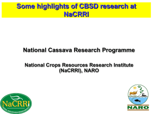 Some highlights of CBSD research at NaCRRI