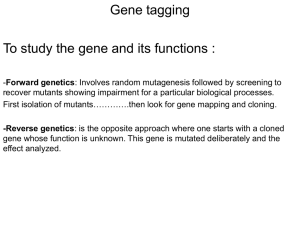 Gene tagging (Dr. H S Parmar)