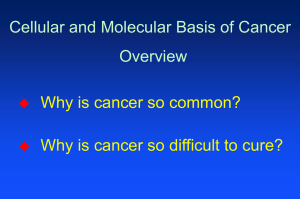 Why is cancer so common? Why is cancer so difficult to cure? Why is