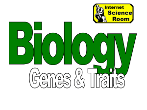 genotypes