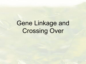 Gene Linkage and Crossing Over