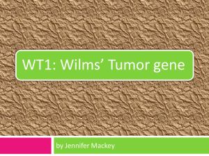 Wilms tumor