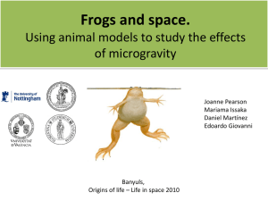 The affect of microgravity on frogs.