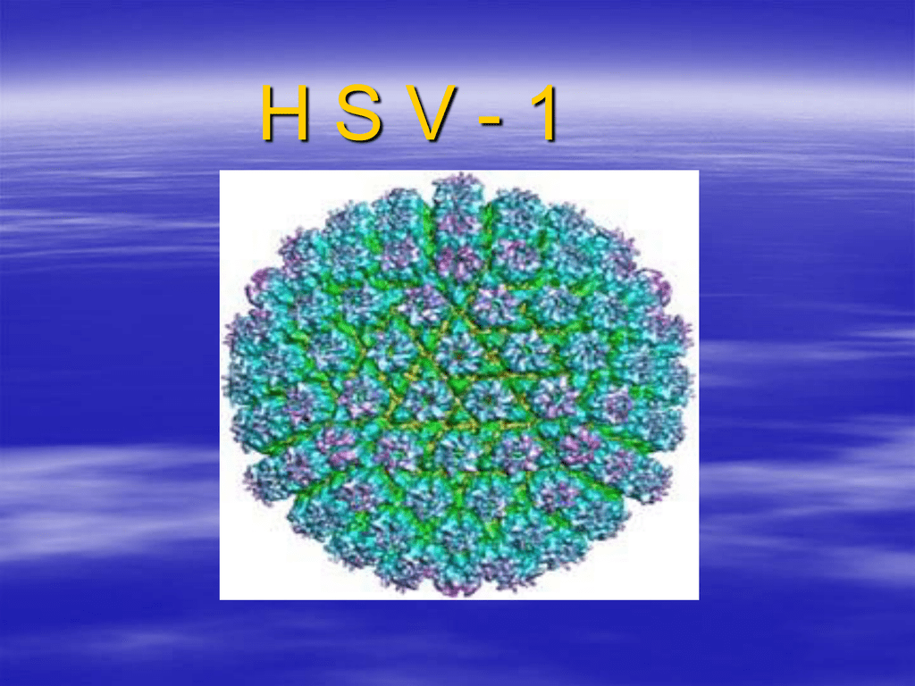 Hsv 1 - New Hsv 1 Igg Positive Treatment | Dan Tucker Auto - only-love ...