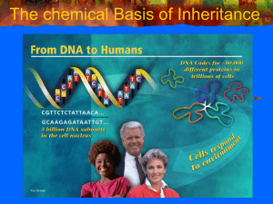 Genetics_chemical inheritance