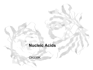 Lecture Slides forNucleic Acids