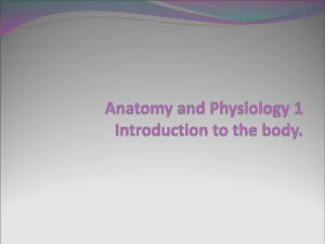 AAPE_PowerPoint_Introduction_to_the_body_week_1
