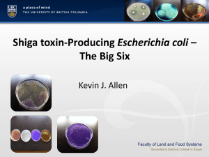 Shiga toxin-Producing Escherichia coli â€“ The Big Six ( K Allen) 03
