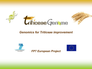 here - Triticeae Genome