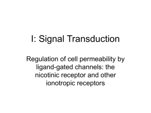 Signal Transduction I