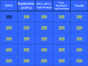 ch 12 jeopardy review Molecular Genetics