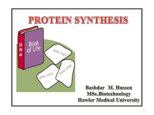 Protein Synthesis