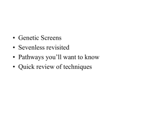 Genetic screens, sevenless revisited, pathways and paper techniques