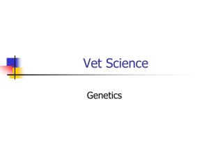 Introduction to Animal Genetics