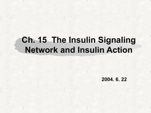 Chap. 15. The Insulin Signaling Network and Insulin Action