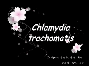 Chlamydia trachomatis.