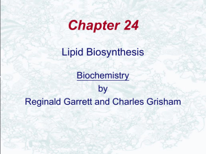 Fatty Acid Synthesis